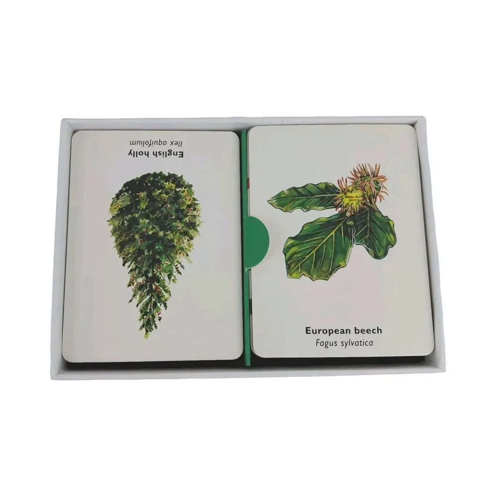Match a Leaf: A Tree Memory Game Kirkham Bird Bingo Hammett Educational Games